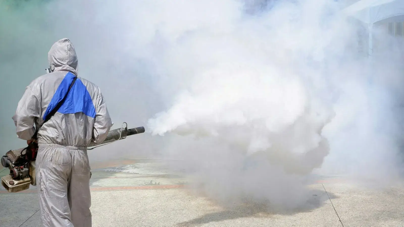 Fumigation Service